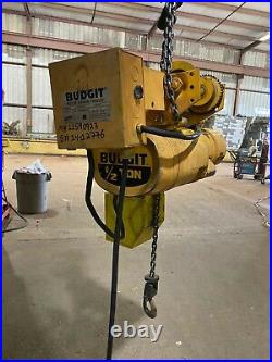 Budgit 1/2 Ton Electric Chain Hoist with Motorized Trolley, 10 FT Lift, 110V