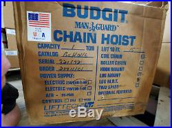 Budgit 1 Ton Electric Chain Hoist 15ft 460v