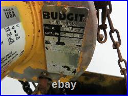 Budgit 2 Ton 4000LB Electric Chain Hoist With CM Railstar 79FPM Power Trolly 20