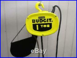Budgit 309828-45 Electric Roller Chain Hoist 1 Ton 2000 Lbs 3 PH 17' Ft. Lift