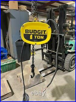 Budgit BEHCO116 1-Ton Electric Chain Hoist, 10' Lift, 230/460V