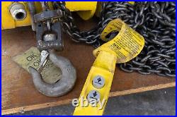 Budgit Manguard Electric Chain Hoist