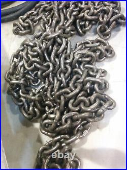 CM Lodestar 1/4 Ton Electric Chain Hoist Food Gade, Stainless Chain