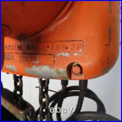 Dayton 3Z923 1/2 Ton Electric Chain Hoist 12' Lift 16 FPM 115/220V FPM 1Ph