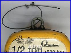 Ingersoll Rand Q50-1ND50E10-114CP Quantum Electric Chain Hoist 1/2 Ton