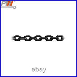 Prowinch 2 Speed 1/2 ton Electric Chain Hoist 20 ft G100 Chain M4/H3 230/380/