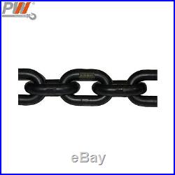 Prowinch 3 Ton Electric Chain Hoist 30ft G100 Chain M4/H3 208240/380/460V