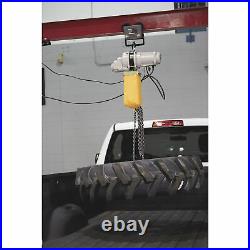 Strongway Electric Chain Hoist 1-Ton Load Capacity, 9.8ft. Lift